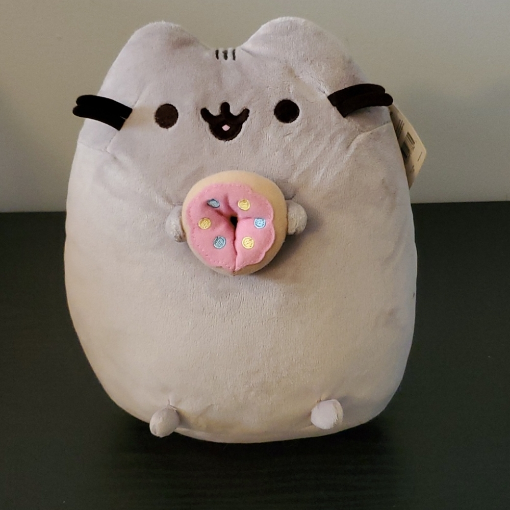 Pusheen holding a Donut 🍩